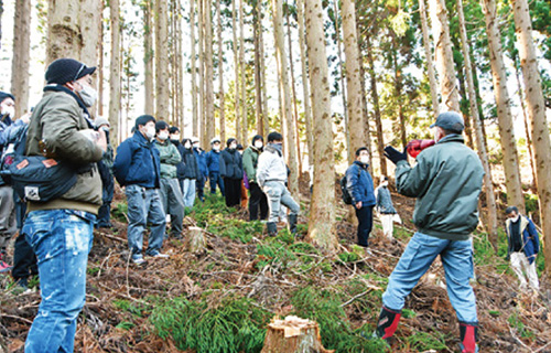 製材山林現場講習で知識・プロセスを学びます